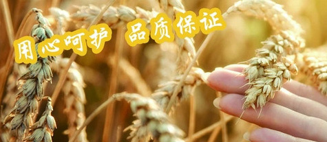 昌帆機(jī)械軋輥